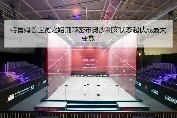 te-lu-mu-pu-wei-mian-zhi-lu-jing-ji-mi-bu-ao-sha-li-wen-zhuang-tai-qi-fu-cheng-zui-da-bian-shu-2-645.jpg